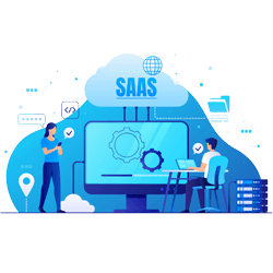 Expertise in ISV/SaaS